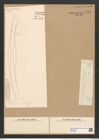 Toxarium rostratum Hantzsch. (de-Toni-Nr.: Genus 69, Species 2688) Zeichnungen Sammlung Grunow Nr. 5513 (NHMW-BOT-W0373958)